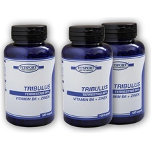 Fitsport Tribulus Terrestris 90% + B6 +Zinek 200 kapslí