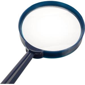 Discovery Basics MG5, LV79658 (LV79658)