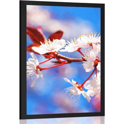 Plakát třešňový květ - 40x60 silver