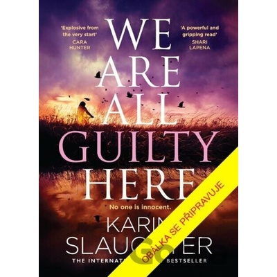 Všichni jsme zde vinni - Karin Slaughter