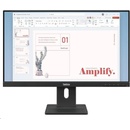 Lenovo ThinkVision E24-40
