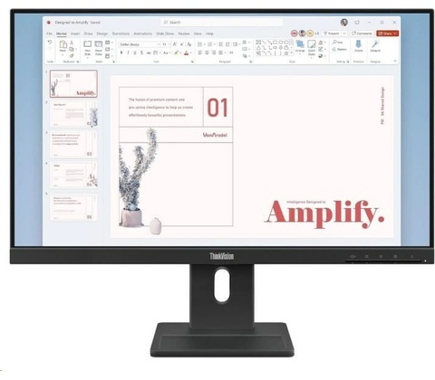 Lenovo ThinkVision E24-40