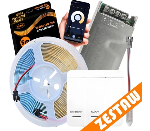 Ecolight EC61595