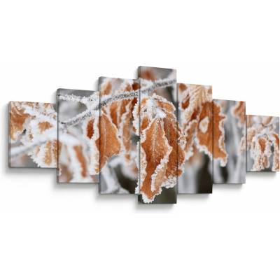Obraz - Zamrznuté listy, sedemdielne 210x100 cm