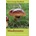 Mushrooms Wright John