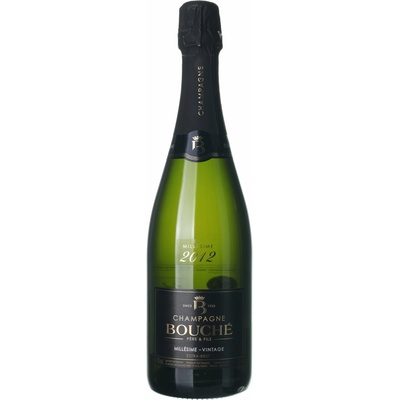 Bouché Champagne Extra Brut suché bílé 2012 12% 0,75 l (holá láhev)