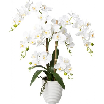 Umelá orchidea phalaenopsis 67 cm biela v keramickom kvetináči 13 x 15 cm Real Touch