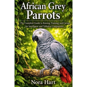 African Grey Parrots (2026)
