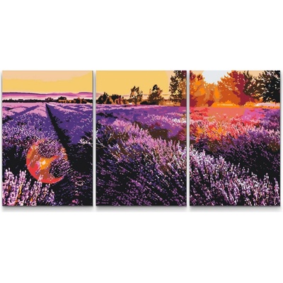 Painting Queens Painting Queens Levandulový záhon sada 3 ks 40 x 60 cm bez rámu PBNSET/03LAVENDERFLOWERBED/40 x 60_40 x 60_40 x 60/WO