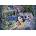 Grafika Art Puzzle - Puzzle Josephine Wall: Whisperred Dreams II - 1 500 piese