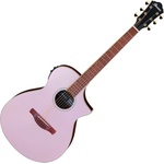 Ibanez AEWC12-RGF