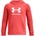 Under Armour Rival fleece bl hoodie s