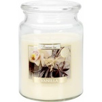 BISPOL Aura Maxi vanilla 500 g