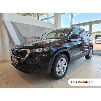 Skoda Karoq TDI Selection 4x4 DSG 110 kW