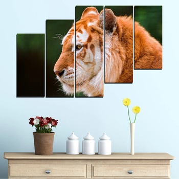 Vivid Home Декоративни панели Vivid Home от 5 части, Животни, PVC, 110x65 см, 8-ма Форма №0253