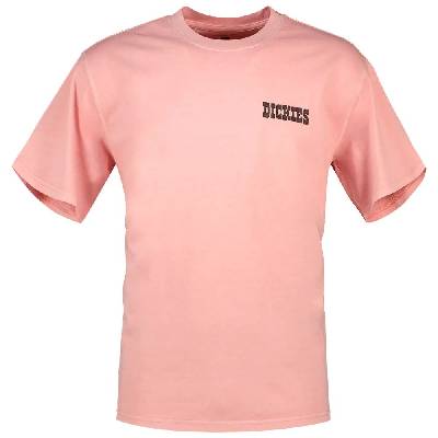 Тениска Dickies Buchtell short sleeve T-shirt - Pink (Bridal Rose)