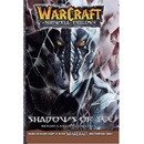 WarCraft: The Sunwell Trilogy #2: Shadows of Ice Knaak Richard A.Paperback