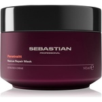 Sebastian Professional Penetraitt маска за увредена и химически третирана коса 145ml
