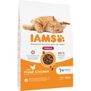 IAMS Cat Adult Ind Chicken 10 kg