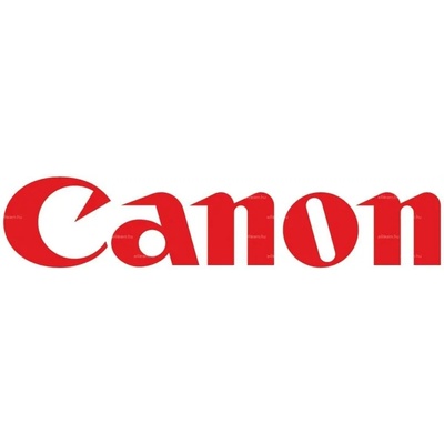 Canon PGI-29LGY Light Grey (BS4872B001AA)