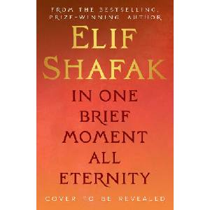 In One Brief Moment All Eternity (ISBN: 9780241745465)