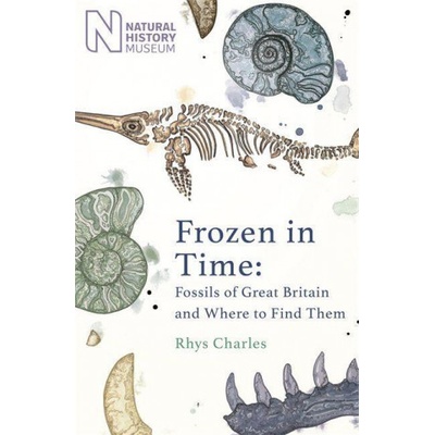 Frozen in Time