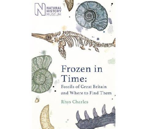 Frozen in Time