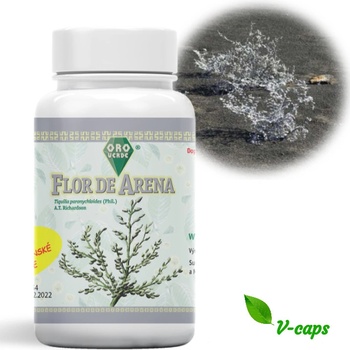 Oro Verde Flor de Arena Tiquilia paronychioides A.T.Rich. VEGA kapsle 350 mg 100 kapslí