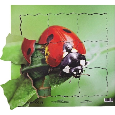 Just Jigsaws 602 Beruška a její životní cyklus dřevěné vrstvené 19 dílů