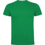 Roly Xfer roly dogo premium / Мъжка тениска - тропическо зелено xxxl (e6502-216-3xl)