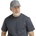 Bushman Midar grey