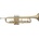 Stagg WS-TR115