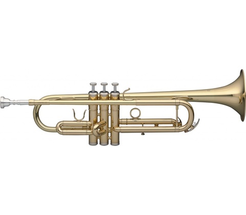 Stagg WS-TR115