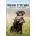 Training Retrievers | George Bobby N. Jr