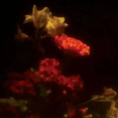 Grégoire Gerstmans - Hypnagogie LP
