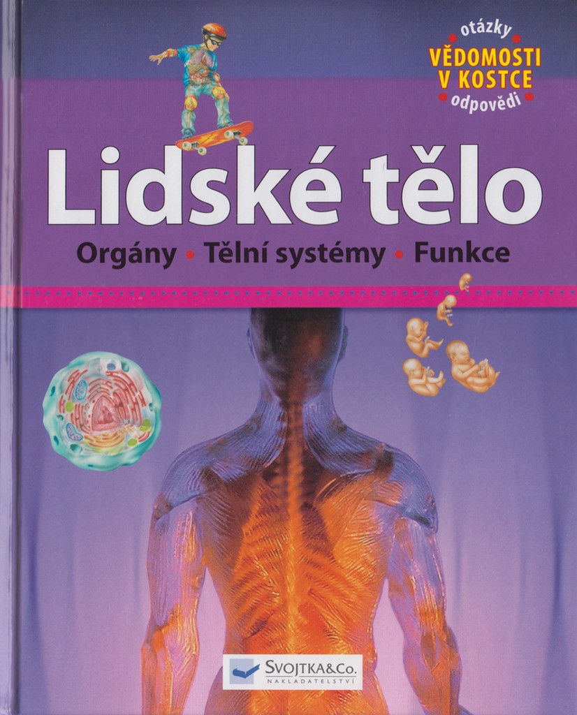 Lidské tělo