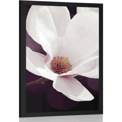 Plakát květ magnólie na abstraktním pozadí - 40x60 white