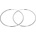 Argento 66566