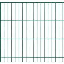Floraworld Drôtený plotový panel, zelená, 100 x 200 cm