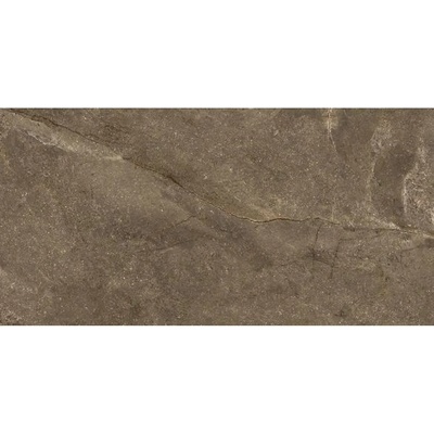 EBS Wells 60 x 120 cm moka lesklá 1,44m²