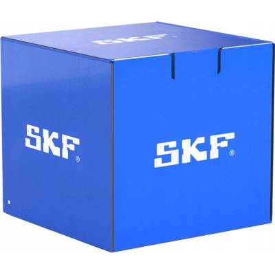 SKF VKG 1 200 g