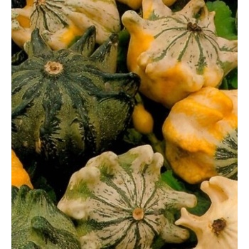 Dekoratívna tekvica TŔŇOVÁ KORUNA 5 g