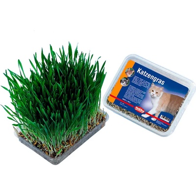 Nobby Cat grass - котешка трева 100 грама