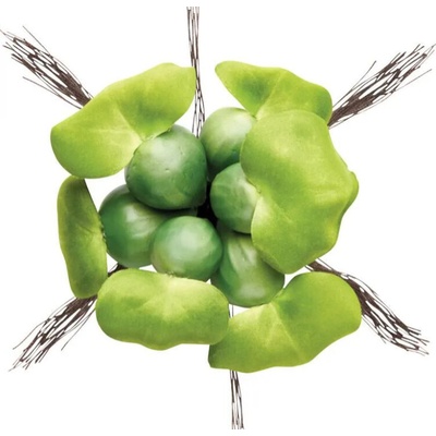 Pontec Plovoucí hyacint Pondo Hyacinth