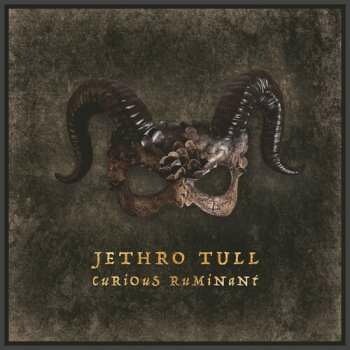 Jethro Tull: Curious Ruminant CD