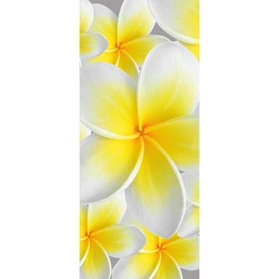 Preinterier DV0003 Fototapeta na stenu Bieložlté kvety vlies 91cm x 211cm