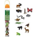 Safari Ltd. Tuba V lese