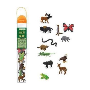 Safari Ltd. Tuba V lese