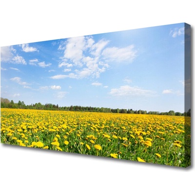 Obraz na plátně Pampeliška Krajina 100x50 cm