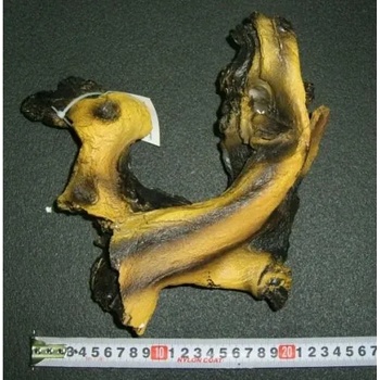 Image 1 of HAILEA - декорация за аквариум смола - корен R8816